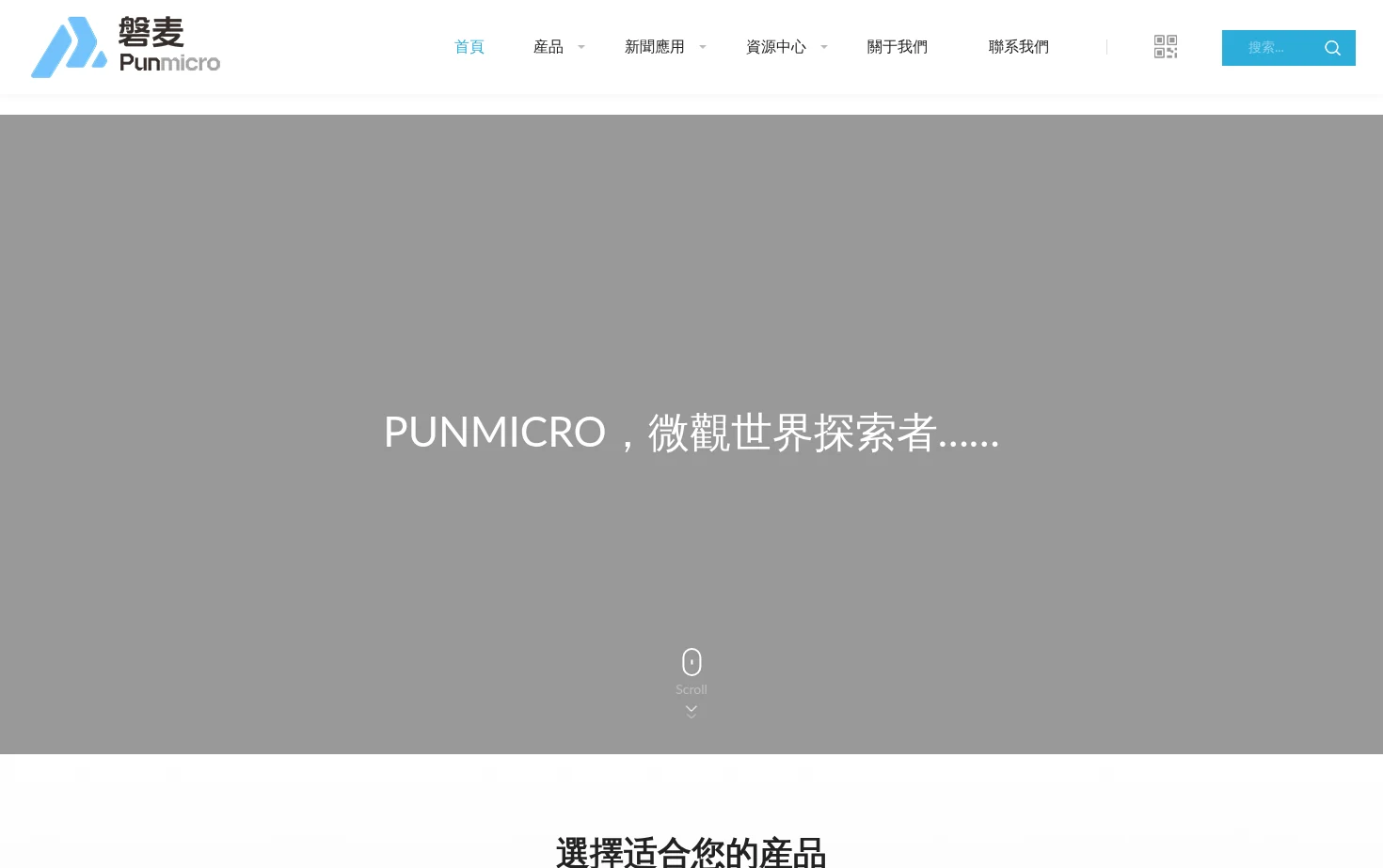 PUNMICRO 页面快照